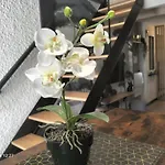 Apartamento Au Bord Du Vieux Moulin - Pres De Bordeaux