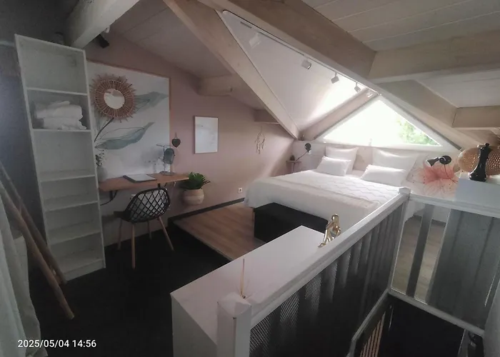 Au Bord Du Vieux Moulin - Pres De Bordeaux Апартаменти *